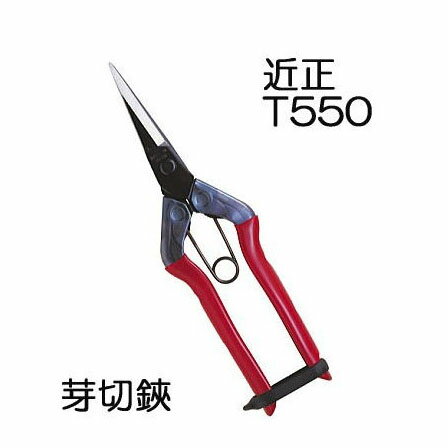 近正 チカマサ 芽切鋏 T-550 【あす楽_九州_中国_四国_関西_東海_北陸】(zmA70)