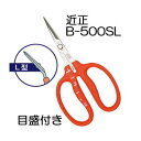 (標準包装) 近正 ステンレス ぶどう鋏 B-500SL L型 (曲げ刃) 目盛付き ぶどう手入れ鋏 チカマサ (ゆうパケット) (zmA70)