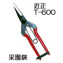 (標準包装) 近正 采園鋏 T-600 チカマサ (7本までゆうパケット) (zmA70)