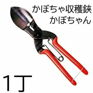 諏訪田 かぼちゃ収穫鋏 かぼちゃん 210mm (かぼちゃ鋏 カボチャ鋏 南瓜鋏 スワダ) (ネ