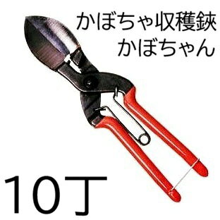 樂天商城 - (10丁セット特価) 諏訪田 かぼちゃ収穫鋏 かぼちゃん 210mm (かぼちゃ鋏 カボチャ鋏 南瓜鋏 スワダ) (zm) にんにく鋏 ニンニク鋏 大蒜に