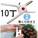 (10丁セット特価) 栗くり坊主2 栗の皮むき機 クリクリボーズ 栗くり坊主II 栗の皮むき器 諏訪田製作所