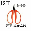 (12丁セット特価) 近正 みかん鋏 M-100 チカマサ(zmA70)