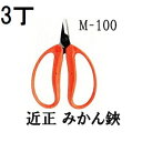 (徳用6丁セット) 近正 みかん鋏 M-100 チカマサ (ゆうパケット) (zmA70)