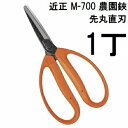 (標準包装) 近正 農園鋏 M-700 青果鋏 玉ねぎ収穫鋏 先丸直刃 チカマサ (ネコポス) (zmA70)