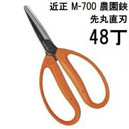 (48丁セット大特価) (標準包装) 近正 農園鋏 M-700 玉ねぎ収穫鋏 先丸直刃 チカマサ　(zmA70)