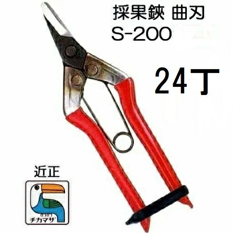 (24丁セット特価) (標準包装) 近正 採果鋏 曲刃 S-200 ［収穫鋏 曲刃 反刃 チカマサ］(zmA70)