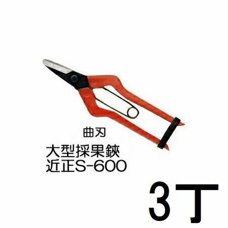 (3本セット) 近正 大型採果鋏 曲刃 S-600 (ブリスター入) チカマサ ［収穫鋏 反刃］ (ゆうパケット)　(..