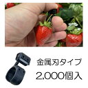 (1ケース2000個入) KOTOKO 採果リングカッター(金属刃) K-3330 果実の収穫、草木の剪定、バラのトゲ取りなどに コトコ