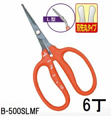 (6丁セット) (標準包装) 近正 B-500SLMF ステンレス フッ素加工 ぶどう手入れ鋏 刃先丸タイプ (L型・刃先丸) チカマサ (ネコポス) (zmA70)