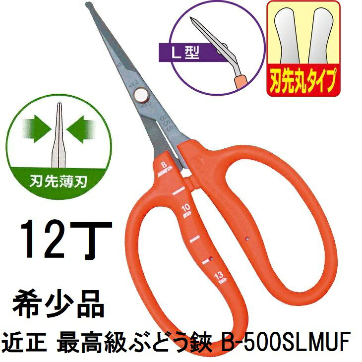 (12丁セット大特価) (最高級 希少品) ぶどう鋏 B-500SLMUF L型 曲刃 ステンレス・フッ素加工 刃先丸タイプ 刃先薄刃 ぶどう手入れ鋏 目盛付き 近正 チカマサ (ゆうパケット)