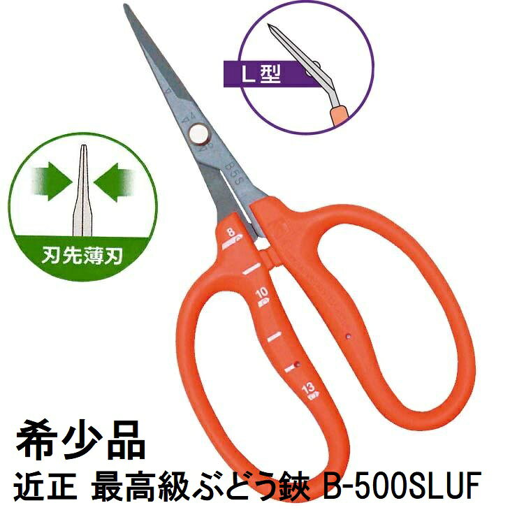 (最高級 希少品) 近正 ぶどう鋏 B-500SLUF L型 曲刃 ステンレス・フッ素加工 刃先薄刃 ぶどう手入れ鋏 目盛付き チカマサ (12本までゆうパケット)