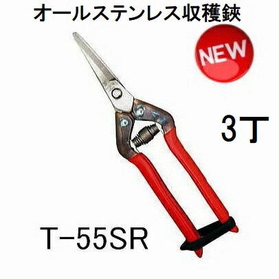(3丁セット) 近正 本職用ステンレス 収穫鋏 曲刃 T-55SR チカマサ (ゆうパケット)　(zmA70)