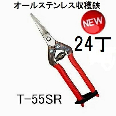 (24丁セット大特価) 近正 本職用ステンレス 収穫鋏 曲刃 T-55SR チカマサ (zmA70)