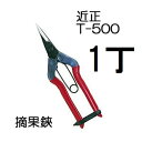 (標準包装) 近正 摘果鋏 T-500 チカマサ (8本までゆうパケット) (zmA70)
