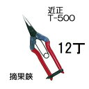 (12丁セット特価) (標準包装) 近正 摘果鋏 T-500 チカマサ (zmA21)