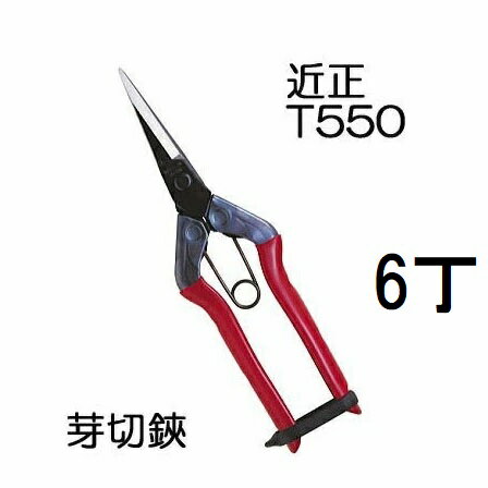 (6丁セット) (標準包装) 近正 芽切鋏 T-550 チカマサ 園芸鋏 本職園芸はさみ (ネコポス) (zmA70)