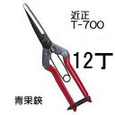 (12丁セット特価) (標準包装) 近正 青果鋏 T-700 チカマサ (zmA21)
