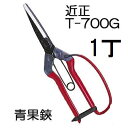(標準包装) 近正 青果鋏 ガード付 T-700G 園芸鋏 本職園芸はさみ チカマサ (zmD1)