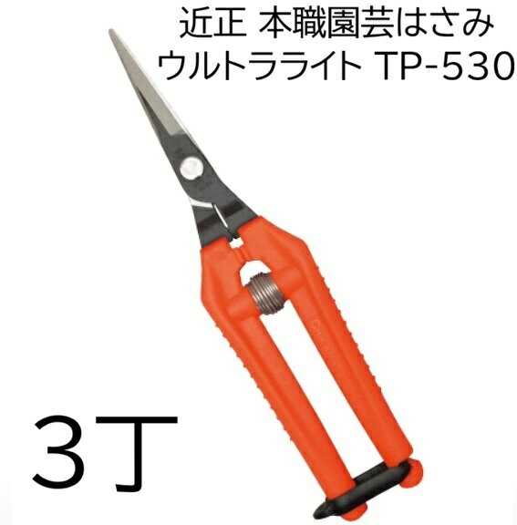 ネコポスでの発送になる為、代金引き換えは出来ません。 配達日時指定は反映されません。 商品：No.TP-530 全長 ：185mm 刃長 ：42mm 重量：55g 刃：高級炭素刃物工具鋼 柄・ハンドル：エラストマー バネ ：ステンレスバネ 原産地：日本製 TP-530は従来製品よりおよそ50%の重さで、非常に軽く、疲れにくいです。関連商品　　　 近正　ウルトラライト　TP-530S　 刃、バネ、リベット、全てがステンレス製、超軽量。 野菜、果樹の手入れ、収穫、園芸 オプション ケースCS-T6は ここから 移動します。 全長：185mm 刃長：42mm 重量：55g 刃： ステンレス刃物鋼 柄：エラストマー &nbsp; 近正 関連商品　&nbsp; 果樹、野菜の収穫、摘果に &nbsp;型式クリックでその商品ページへ移動します。 T-500 全長170mm　刃長35mm　重量100g 刃：高級炭素刃物工具鋼　柄：鋼板プラスチック コーテイング 適合バネSP-7　鋏ケースCS-T6 T-550　 全長185mm　刃長48mm　重量105g 刃：高級炭素刃物工具鋼　柄：鋼板プラスチック コーテイング　適合バネSP-9　鋏ケースCS-T6 型式クリックで各ページへ移動します。&nbsp; T-570 全長195mm　刃長55mm　重量105g 刃：高級炭素刃物工具鋼　柄：鋼板プラスチック コーテイング　適合バネSP-9　鋏ケースCS-T6&nbsp; 近正ハサミ 適応 取替えバネ　1袋2本入 SP-6 SP-7 SP-9 適合型式：S-600、T-600、 T-600G、T-700、T-700G、 T-601、T-601K、T-701 適合型式：S-200、S-200G、 T-500、T-500S、S-201、 T-501、S-200SD、S-221 適合型式：T-550、T-551、 T-550S、T-570、T-550MG、 T-550MX