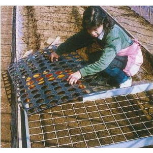 育苗ポット連続土詰器 スピードポッター 標準タイプ 槍木産業