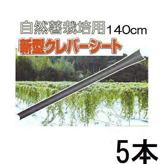楽天市場】自然薯 種芋（花・ガーデン・DIY）の通販