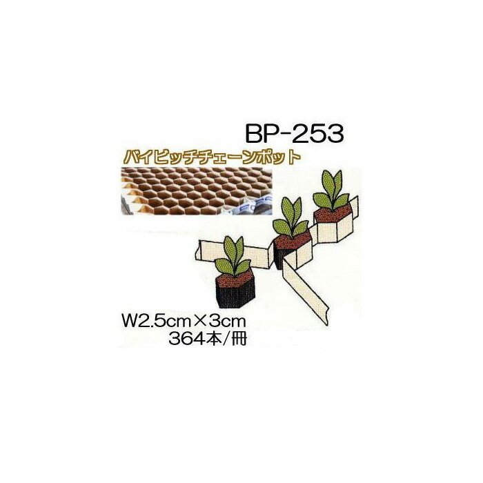 乐天商城 - (150冊入) ニッテン バイピッチ チェーンポット BP253 364本付 ペーパーポット BP-253 日本甜菜製糖 |法人・個人事業者向け