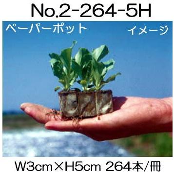 (2024年7月予定) (105冊入) ニッテン ペーパーポット No.2-264 (5H) 264本付 スイートコーン・アスパラガス・水稲育苗箱などに 日本甜菜製糖 |法人・個人事業者向け