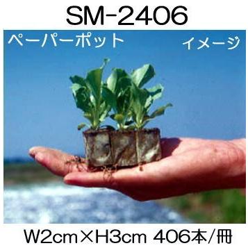 sm2406.jpg