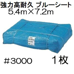 ���ʼ� �֥롼������ ���� ��3000 5.4m��7.2m ��ߥ͡��ȥ����ƥ��� (5.4��7.2m ���ѵ� �Ѹ� �ɿ� ���ϥ�����)