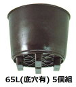 (5個セット) 果樹栽培用大型ポット サンポット 65L 底穴有 サンポリ (法人/個人 選択)