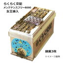 ミツバチ らくらく交配メンテナンスフリー8000 働き蜂約8000匹 幼虫約4000匹入 女王蜂入り 中期使用型 花粉交配用蜜蜂 アピ(4)