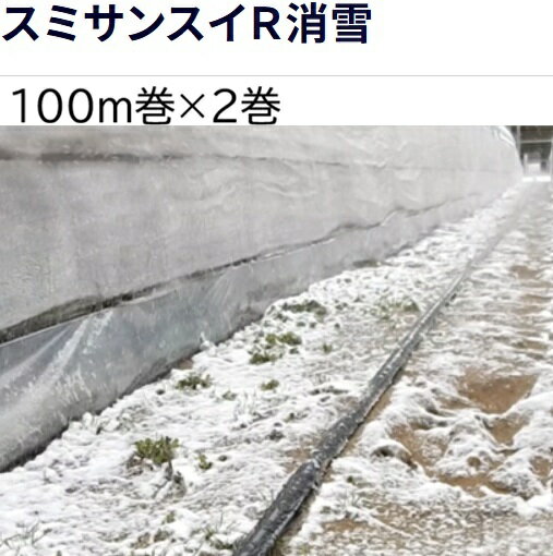 (100m巻×2巻セット 特価) 灌水ホース スミサンスイ R 消雪 100m巻×2 WB1046 住化農...