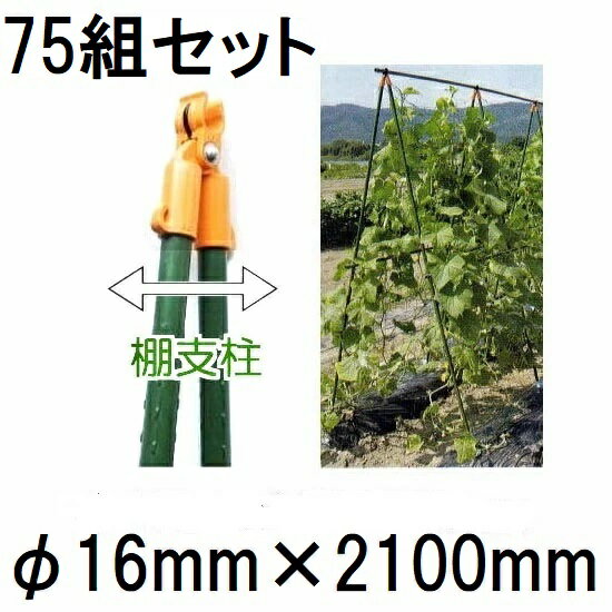 (25組×3セット) 16mm×2100mm つるもの用 棚支柱 16×2100mm (75組セット) 第一ビニール (個人宅不可 法..