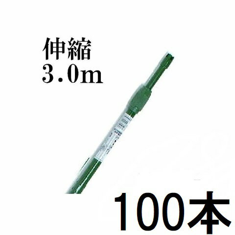 (100�ܥ��å�) �ڱ࿭�̥ѥ��� ������ 3.0������ ������ �����ѻ��� ��19-22mm��160cm-300cm (�Ŀ����Բ� ˡ�͸Ŀ�����) �Τ�������...