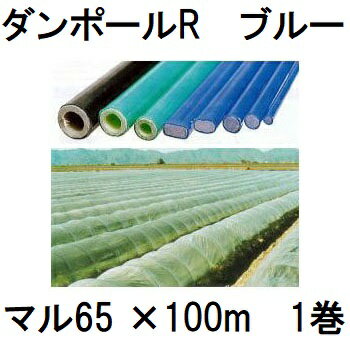 ダンポールR マル65 100m巻 青 (個人宅配送OK) ［園芸支柱 ブルー 家庭菜園 トンネル 強靭 瀧商店］ 宇部エクシモ　saka