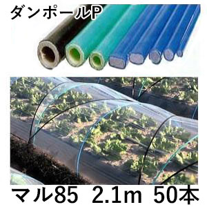 (50本セット) ダンポールP マル85 ×2.1m 緑 トンネル幅100cm (個人宅配送OK)［園芸支柱 家庭菜園 トンネル支柱 強靭 瀧商店］ saka