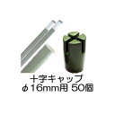 takisyo:10017017のサンプル画像1