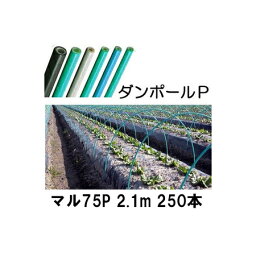 (徳用250本セット) ダンポールP マル75 ×2.1m 緑 トンネル幅100cm (個人宅配送OK) ［トンネル支柱 アーチ支柱］ 宇部エクシモ