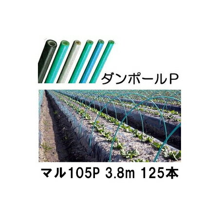 (徳用125本セット) ダンポールP マル105 ×3.8m 緑 トンネル幅200cm (個人宅配送OK) ［トンネル支柱 アーチ支柱］ 宇部エクシモ