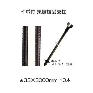 (10本セット) セキスイ イボ竹 (プロ仕様 業務用) 農業用支柱 (黒) φ33.2×3000mm 果樹枝受け支柱 (枝受ホルダー、支柱ストッパー別売) 日本製 積水樹脂 (4t車進入可能地域限定) 33mm×3000mm 33.2×3.0 33mm×3.0mm 33×3000mm (法人or営業所引取り)