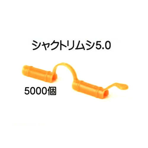 ( 5000ĥå) ȥͥѥå 㥯ȥॷ5.0 5mm97mm Ĺ 