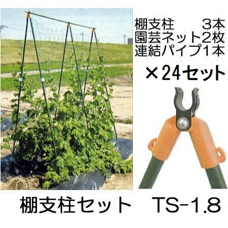 (徳用8セット×3ケース) つるもの用 棚支柱セット TS-1.8 (1.8m) ×24パック 第一ビニール (個人宅不可 ..
