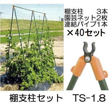 (8セット×5ケース特価) つるもの用 棚支柱セット TS-1.8 (1.8m) ×8パック (40セット特価) 第一ビニール..