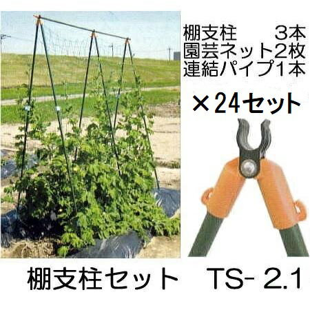 (徳用8セット×3ケース) つるもの用 棚支柱セット TS-2.1 (2.1m) ×24パック 第一ビニール (個人宅不可 ..