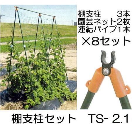 (8セット) つるもの用 棚支柱セット TS-2.1 (2.1m) ×8パック 第一ビニール (個人宅不可 法人個人選択)