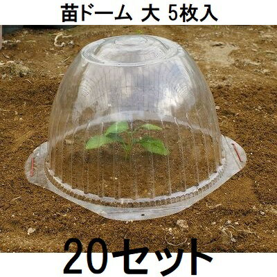 乐天商城 - (ケース特価 5枚入×20セット) 第一ビニール 苗ドーム 苗カバー 大　zs