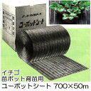 (法人限定) ニッセン ユーポットシート 700mm×50m イチゴ苗ポット育苗用下敷きシート ニッセンプラスチック 日泉ポリテック