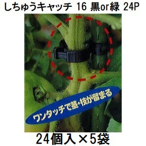(24個入×5袋) 誘引資材 しちゅうキャッチ 16 (黒or緑 色選択) 支柱径16mm用 (120個入) シーム S16B-24 ..