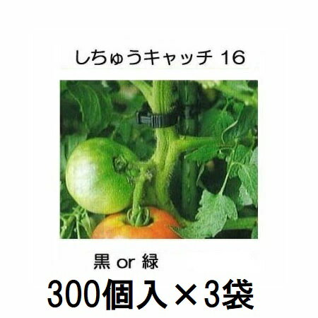 (300������3��) Ͷ����� �����夦����å� 16 (��or�� ������) �����16mm�� (900����) ������ S16B-300 S16G-300��zm